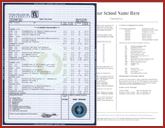 College Transcript Template