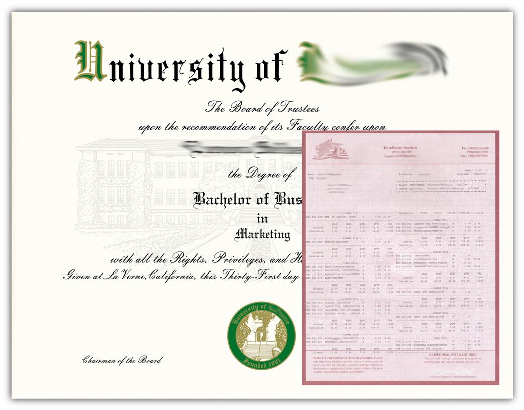 Match Replica Diploma ( Degree ) & Stock Transcripts MatchReplicaDiploma-Trans